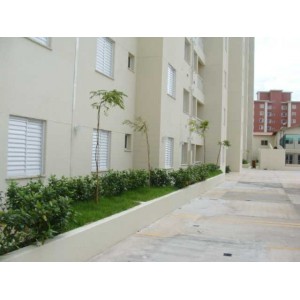 Pedreira - Apartamento - 50m - 265.000 - Venda